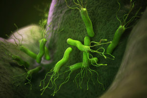 An illustration of H. Pylori