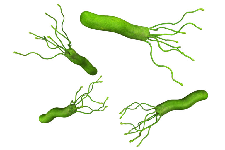 H. pylori Stool Antigen Testing TECHLAB, Inc.