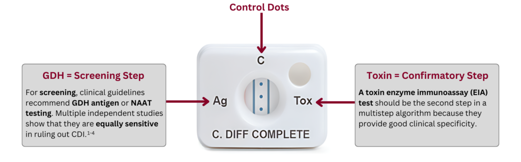 A complete stand-alone 2-step C. difficile algorithm in one test ...